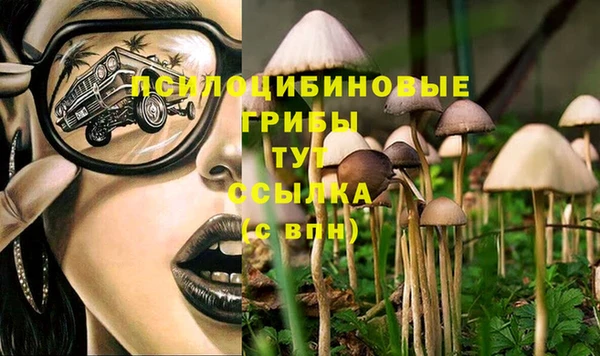 ECSTASY Аркадак