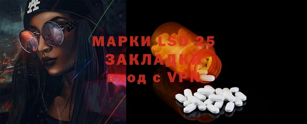 ПСИЛОЦИБИНОВЫЕ ГРИБЫ Арсеньев