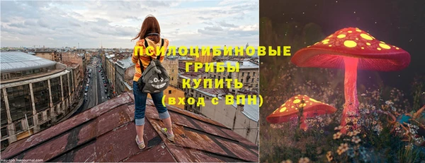 ПСИЛОЦИБИНОВЫЕ ГРИБЫ Арсеньев