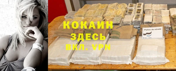 ПСИЛОЦИБИНОВЫЕ ГРИБЫ Арсеньев