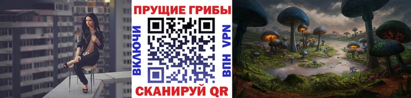 купить   Мончегорск  kraken ССЫЛКА  Псилоцибиновые грибы мицелий 